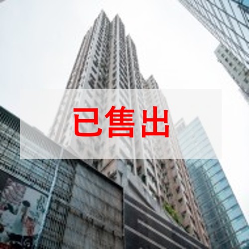 中上環 中源中心近港島金融核心區 2房罕有特平