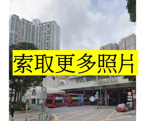 (綠表) 大埔 富善邨 綠表之選