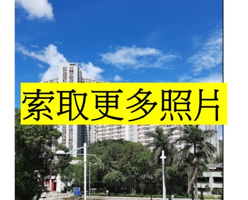 (綠表) 粉嶺 祥華邨 上車盤
